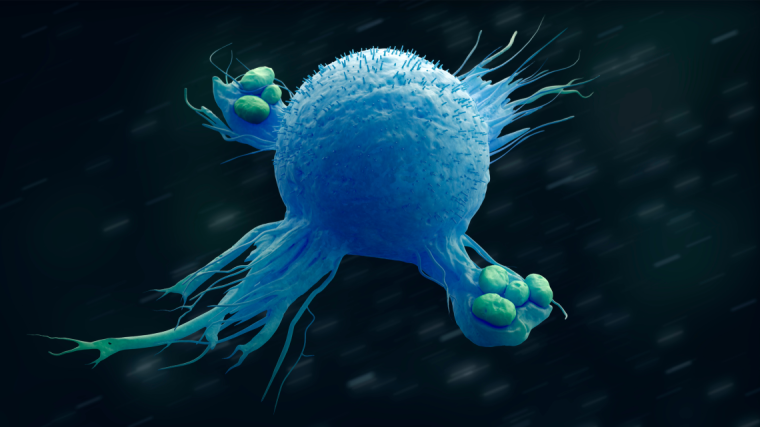Macrophage engulfing bacteria 3d illustration